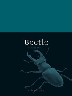 cover image of Beetle